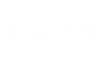 Brand Nintendo Logo